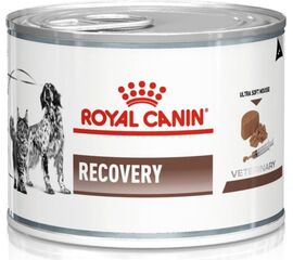 ROYAL CANIN RECOVERY WET DOG AND CAT FOOD MOUSSE POULTRY, PORK 195 G