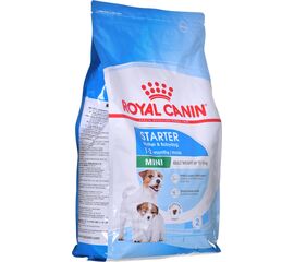 ROYAL CANIN SHN MINI STARTER MOTHER & BABYDOG - DRY DOG FOOD - 4 KG