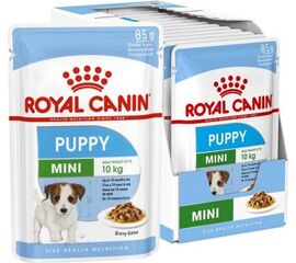 ROYAL CANIN SHN MINI PUPPY IN SAUCE - WET PUPPY FOOD - 12X85G