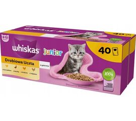 WHISKAS JUNIOR POULTRY IN JELLY - WET CAT FOOD - 40 X 85G