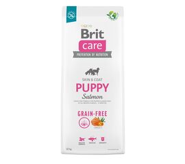BRIT DRY FOOD FOR PUPPIES AND YOUNG DOGS OF ALL BREEDS (4 WEEKS - 12 MONTHS).BRIT CARE DOG GRAIN-FREE PUPPY SALMON 12KG