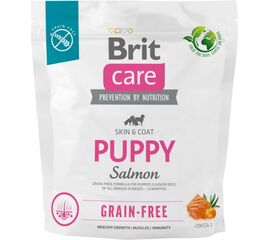 BRIT DRY FOOD FOR PUPPIES AND YOUNG DOGS OF ALL BREEDS (4 WEEKS - 12 MONTHS).BRIT CARE DOG GRAIN-FREE PUPPY SALMON 1KG