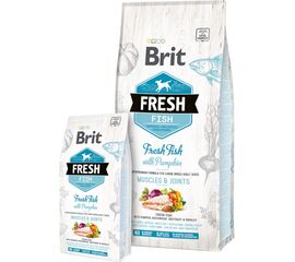 BRIT FRESH FISH WITH PUMPKIN ADULT LARGE MUSCLES & JOINTS 12 KG