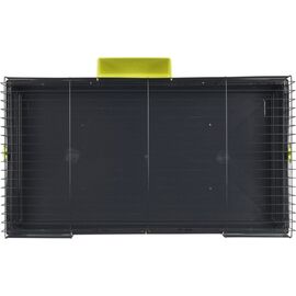 ZOLUX CLASSIC 100 CM,  BŪRIS LIELAJIEM GRAUZĒJIEM,  KRĀSA PELĒKS/AKVAMARĪNS