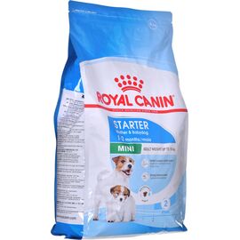 ROYAL CANIN SHN MINI STARTER MOTHER & BABYDOG - DRY DOG FOOD - 4 KG