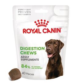 ROYAL CANIN SUPPLEMENTS DOG DIGESTION ADULT - DOG VITAMINS - 160G