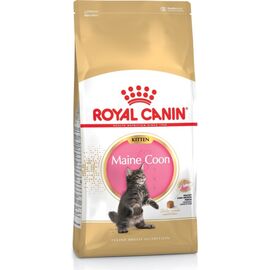 ROYAL CANIN MAINE COON KITTEN CATS DRY FOOD POULTRY,RICE 4 KG