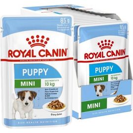ROYAL CANIN SHN MINI PUPPY IN SAUCE - WET PUPPY FOOD - 12X85G