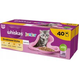 WHISKAS JUNIOR POULTRY IN JELLY - WET CAT FOOD - 40 X 85G