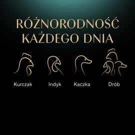 SHEBA NATURE'S COLLECTION DROBIOWE SMAKI W GALARECIE- DRÓB - ADULT- MOKRA KARMA DLA KOTA- 40X85