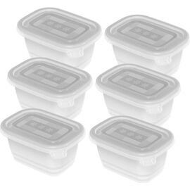 ROTHO FREEZE - FREEZER CONTAINER - 6X250ML