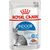 ROYAL CANIN FHN INDOOR JELLY - WET FOOD FOR ADULT CATS - 12X85G