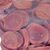 MACED SALMON CHIPS - DOG TREAT - 500G
