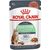 ROYAL CANIN DIGESTIVE CARE GRAVY - WET CAT FOOD - 12X85 G