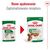ROYAL CANIN SHN MINI ADULT IN SAUCE - WET DOG FOOD - 12X85G