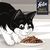 PURINA NESTLE FELIX TASTY SHREDS WITH DUCK AND TURKEY - 4X 80G