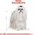 ROYAL CANIN MALTESE ADULT CORN, POULTRY 0.5 KG