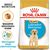 ROYAL CANIN BHN LABRADOR RETRIEVER PUPPY - DRY PUPPY FOOD - 3KG