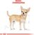 ROYAL CANIN BHN CHIHUAHUA ADULT - DRY DOG FOOD - 1.5KG