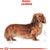ROYAL CANIN BHN DACHSHUND ADULT - DRY FOOD FOR ADULT DOGS - 1.5KG