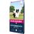 EUKANUBA SMALL & MEDIUM LAMB RICE  12 KG