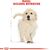 ROYAL CANIN GOLDEN RETRIEVER JUNIOR PUPPY POULTRY 12 KG