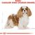 ROYAL CANIN DOG FOOD ROYAL CANIN SHN BREED CAVALIER K C 1.5 KG