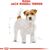 ROYAL CANIN JACK RUSSELL ADULT 7.5 KG POULTRY, RICE