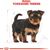 ROYAL CANIN SHN BREED YORKSHIRE JUNIOR 7,5 KG