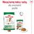 ROYAL CANIN MINI MATURE 0.8KG