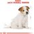 ROYAL CANIN JACK RUSSELL JUNIOR PUPPY POULTRY,RICE 3 KG