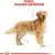 ROYAL CANIN GOLDEN RETRIEVER ADULT 12 KG