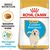 ROYAL CANIN GOLDEN RETRIEVER JUNIOR PUPPY POULTRY 12 KG