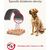 BEAPHAR BIOCIDAL COLLAR FOR SMALL AND MEDIUM DOGS - 50 CM