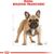 ROYAL CANIN BHN FRENCH BULLDOG ADULT - DRY DOG FOOD - 9KG