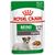 ROYAL CANIN MINI AGEING 12+ WET DOG FOOD CHUNKS IN SAUCE 12X85 G