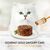 PURINA NESTLE GOURMET GOLD - SAVOURY CAKE WITH LAMB AND GREEN BEANS 85G