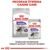 ROYAL CANIN CCN STERILISED LOAF - WET FOOD FOR ADULT DOGS - 12X85G