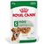 ROYAL CANIN MINI AGEING 12+ WET DOG FOOD CHUNKS IN SAUCE 12X85 G