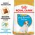 ROYAL CANIN JACK RUSSELL JUNIOR PUPPY POULTRY,RICE 3 KG