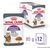 ROYAL CANIN FCN APPETITE CONTROL IN SAUCE - WET FOOD FOR ADULT CATS - 12X85G