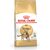 ROYAL CANIN BENGAL ADULT CATS DRY FOOD 2 KG POULTRY, VEGETABLE