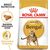 ROYAL CANIN FBN BENGAL ADULT - DRY CAT FOOD - 10KG