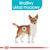 ROYAL CANIN CCN URINARY CARE LOAF - WET FOOD FOR ADULT DOGS - 12X85G