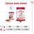 ROYAL CANIN SHN MEDIUM ADULT IN SAUCE - WET FOOD FOR ADULT DOGS - 10X140G