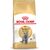 ROYAL CANIN BRITISH SHORTHAIR ADULT CATS DRY FOOD 10 KG