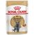 ROYAL CANIN BRITISH SHORTHAIR PACKET 12X85G
