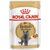 ROYAL CANIN BRITISH SHORTHAIR PACKET 12X85G