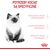ROYAL CANIN KITTEN CATS DRY FOOD 10 KG