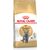 ROYAL CANIN BRITISH SHORTHAIR CATS DRY FOOD 2 KG ADULT